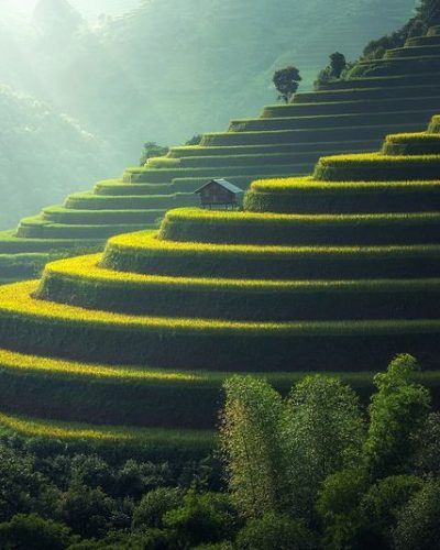 Agricultural scenery, green field landscape photo, free public domain CC0 image.