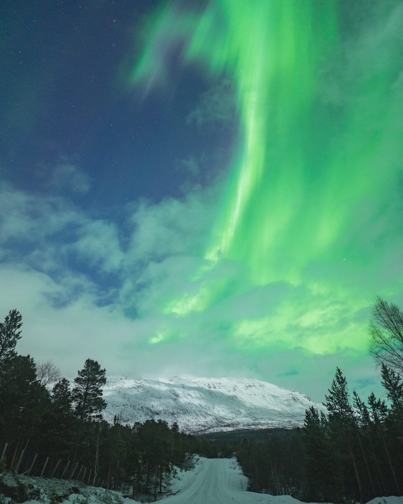 aurora-232