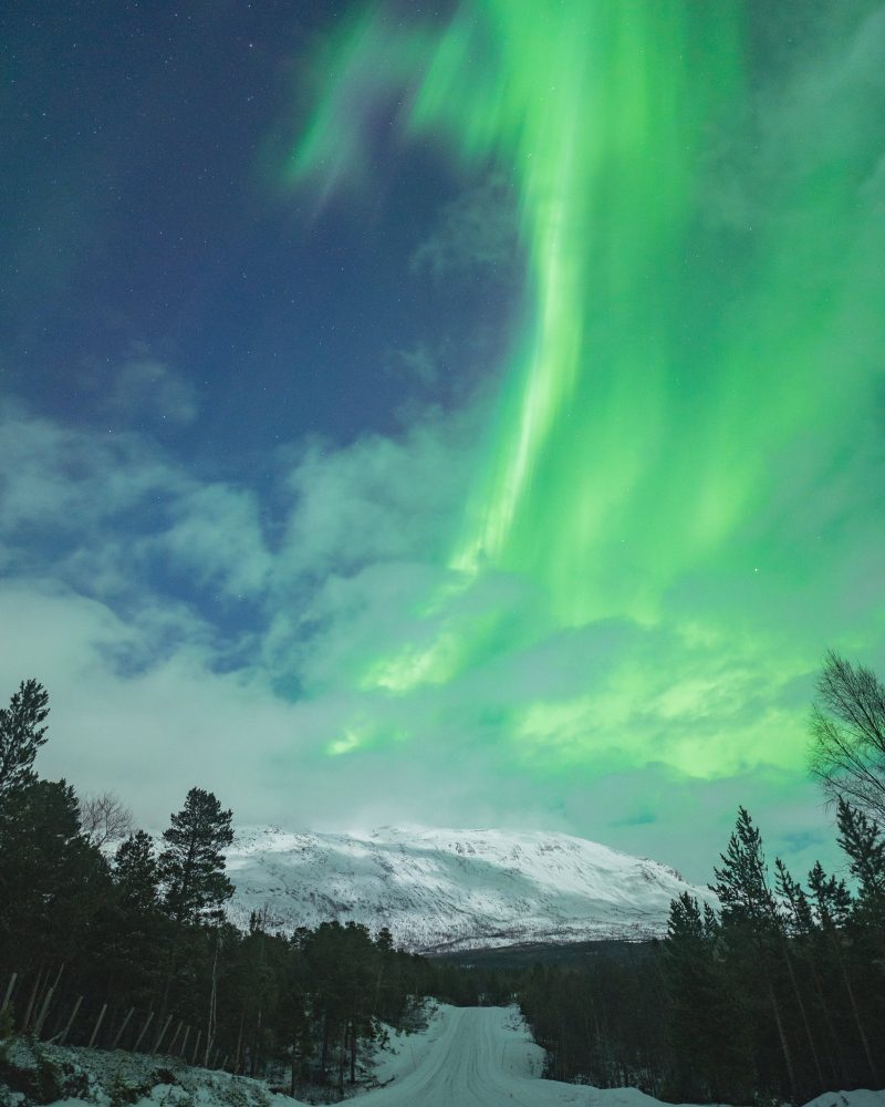 aurora-232