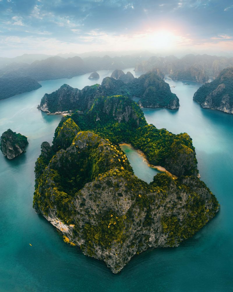 pexels-photo-13008674 (1)