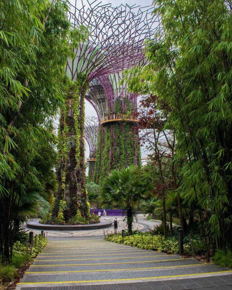 singapur-005